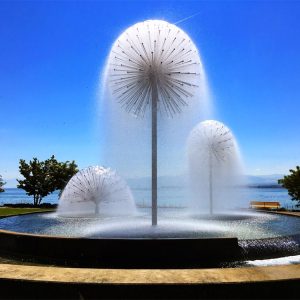 #fountainnozzle #nozzle #jetnozzle #fountain #water #adjustablenozzle #spraynozzle, #dandelionfountainnozzle